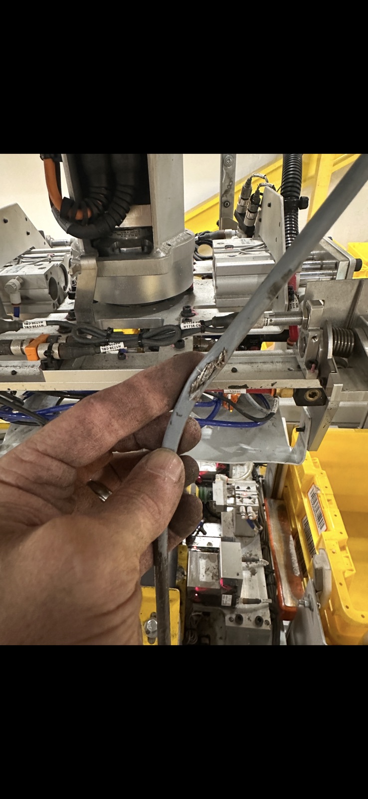 Technician holding a chafed multi-conductor cable found on a robotic tote stacker